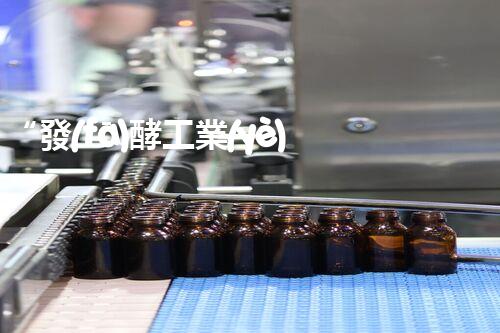 “發(fā)酵工業(yè)廢水處理，綠色創(chuàng)新引領(lǐng)環(huán)保新篇章”